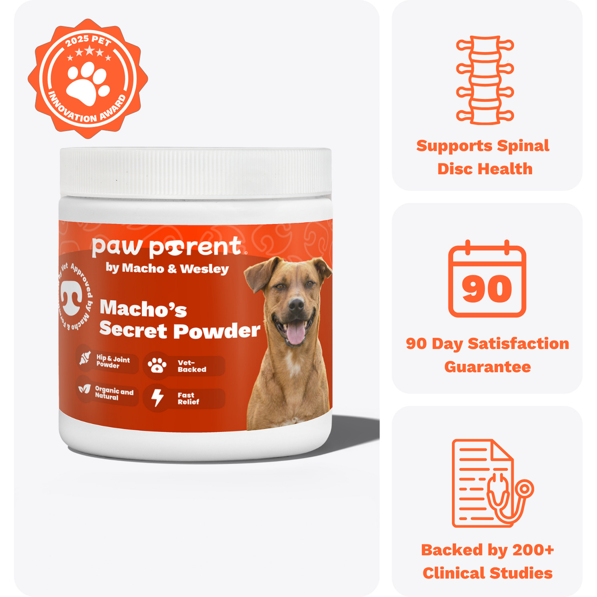 The Paw Parent - Spine & Disc